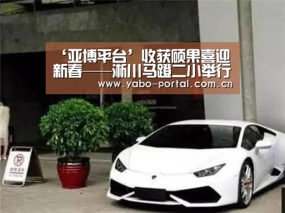 ‘亚博平台’收获硕果喜迎新春——淅川马蹬二小举行2019年秋期散学典礼(图1) 亚博app