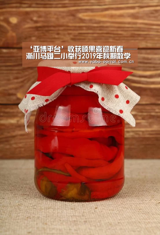 ‘亚博平台’收获硕果喜迎新春——淅川马蹬二小举行2019年秋期散学典礼(图3) 亚博体育