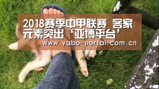 亚博平台
