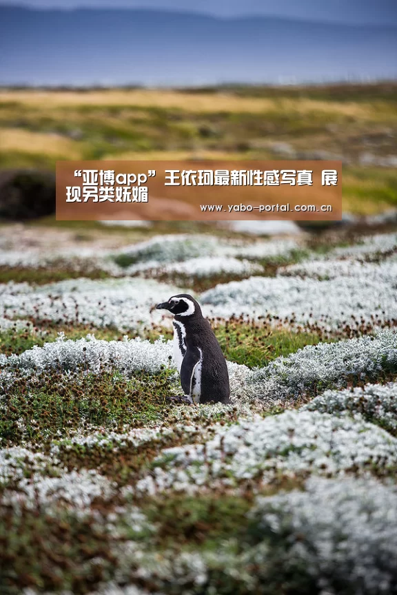 “亚博app”王依珂最新性感写真 展现另类妩媚(图2) 亚博