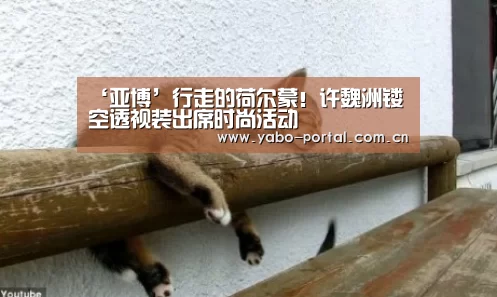 ‘亚博’行走的荷尔蒙!许魏洲镂空透视装出席时尚活动(图1) 亚博平台